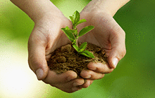 Environmental care