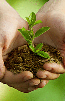 Environmental care